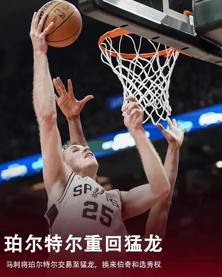 贾斯廷·霍勒迪_霍勒迪安东尼戴维斯_贾斯丁霍勒迪兄弟
