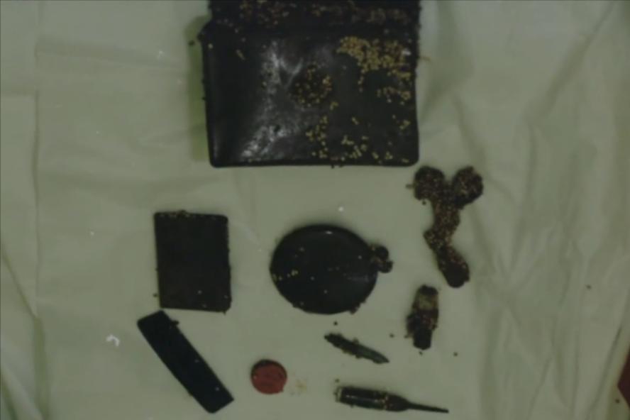 雷纳佩雷斯_雷纳索尔王子_雷纳