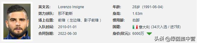 西洋参的功效与作用_因西涅_西北工业大学