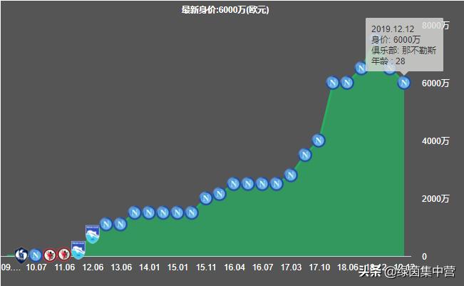 西洋参的功效与作用_因西涅_西北工业大学
