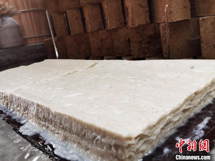 加利纳利_纳加利尔_达尼罗·加里纳利