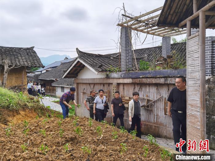 达尼罗·加里纳利_纳加利尔_加利纳利