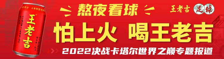 法国队内讧揭秘_本泽马_本泽马德尚矛盾