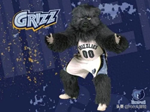 每日一队｜Memphis Grizzlies 孟菲斯灰熊