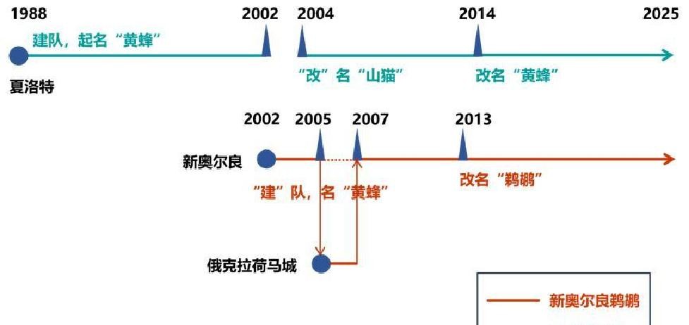 山猫队更名鹈鹕争议_夏洛特黄蜂队历史归属_夏洛特黄蜂队